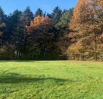 Grundstück zu verkaufen in Böbrach 239.000,00 € 8555 m²