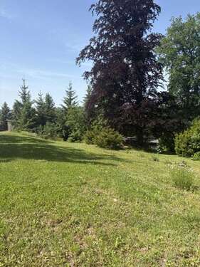 Foto - Grundstück zu verkaufen in Werdau 75.000,00 € 1201 m²