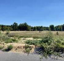 Grundstück zu verkaufen in Bitterfeld-Wolfen 78.000,00 € 805 m² Grundstück zu verkaufen in Bitterfeld-Wolfen 78.000,00 € 805 m²