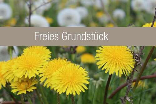 Foto - Grundstück zu verkaufen in Magdeburg 114.898,00 €