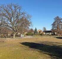 Grundstück zu verkaufen in Felixsee 21.500,00 € 890 m²