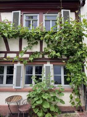 Foto - Wohnung zum Mieten in Bad Homburg 750,00 € 45 m²