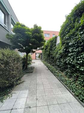 Foto - Wohnung zum Mieten in Siegen 300,00 € 32.4 m²