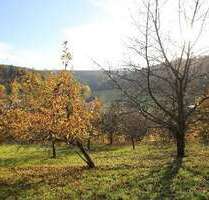 Grundstück in Breuberg, OT Wald-Amorbach 195.000,00 € 3398 m²