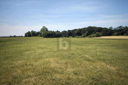 Foto - Grundstück zu verkaufen in Dreschvitz 62.000,00 € 44096 m²