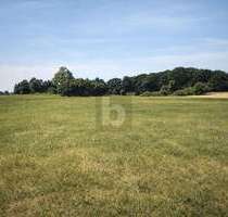 Grundstück zu verkaufen in Dreschvitz 62.000,00 € 44096 m²