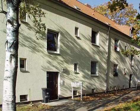 Foto - Wohnung zum Mieten in Magdeburg 306,40 € 38.3 m²