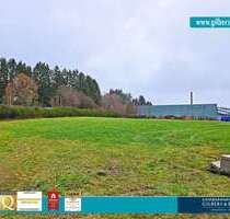 Halle in Hermeskeil 2.600,00 € 6500 m²