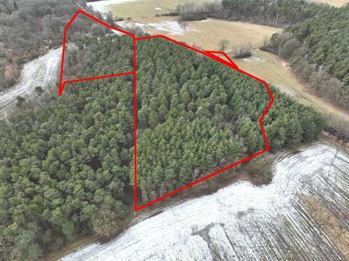 Foto - Grundstück zu verkaufen in Altdöbern Ranzow 45.000,00 € 38000 m²