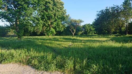 Foto - Grundstück in Winhöring 36.000,00 € 5992 m²