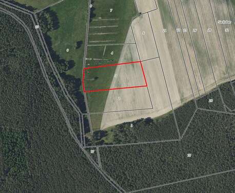 Foto - Grundstück zum Mieten in Caminchen Alt Zauche 2.500,00 € 88730 m²