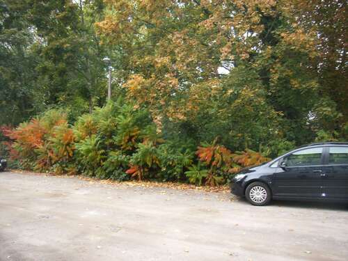 Foto - Grundstück zu verkaufen in Lutherstadt Wittenberg 720.000,00 € 7315 m²