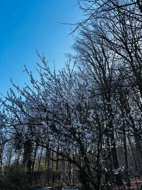 Foto - Haus zum Kaufen in Dortmund 797.000,00 € 173 m²