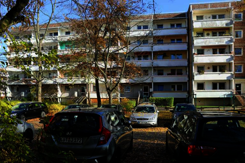 Foto - Wohnung zum Mieten in Dessau-Roßlau 240,00 € 39.64 m²