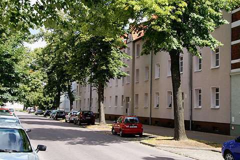 Foto - Wohnung zum Mieten in Dessau-Roßlau 490,00 € 61.56 m²