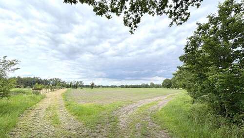 Foto - Grundstück in Westerstede 70.000,00 € 13568 m²