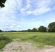 Grundstück in Westerstede 94.000,00 € 17939 m²