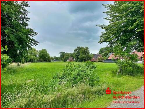Foto - Grundstück zu verkaufen in Ihlow 69.000,00 € 5796 m²