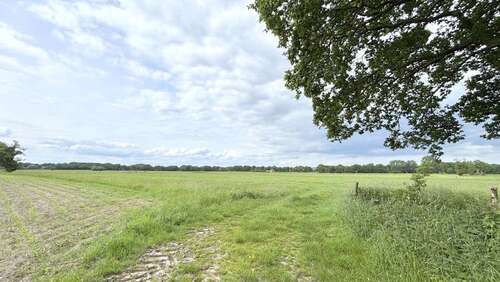 Foto - Grundstück in Westerstede 86.500,00 € 24629 m²