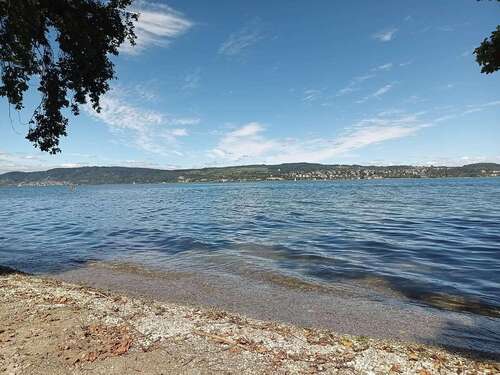 Foto - Wohnung zum Mieten in Konstanz 942,00 € 37.93 m²