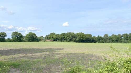 Foto - Grundstück in Westerstede 153.725,00 € 29849 m²