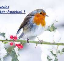 Haus zum Kaufen in Großbottwar 679.000,00 € 255 m²