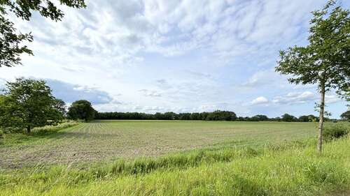 Foto - Grundstück in Westerstede 65.000,00 € 12632 m²