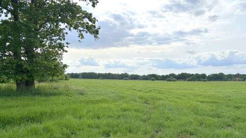 Foto - Grundstück in Westerstede 225.000,00 € 63542 m²