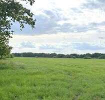 Grundstück in Westerstede 225.000,00 € 63542 m²