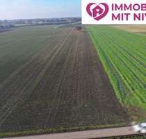 Grundstück in Lauingen 136.000,00 € 11349 m²