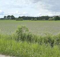 Grundstück in Westerstede 80.500,00 € 15575 m²
