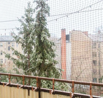 Wohnung zum Kaufen in Berlin 145.000,00 € 52.76 m²