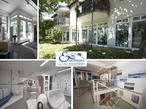 Foto - Einzelhandel in Hofheim-Diedenbergen 498.500,00 € 158.48 m²