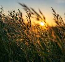 Spezialgewerbe in Altmannstein 512.000,00 €
