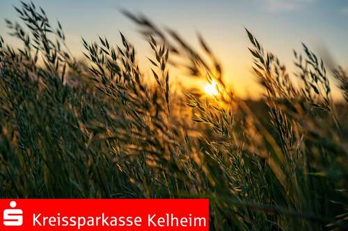 Foto - Spezialgewerbe in Altmannstein 512.000,00 €