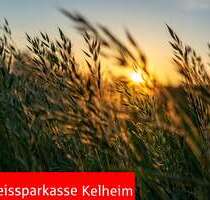 Spezialgewerbe in Altmannstein 512.000,00 €