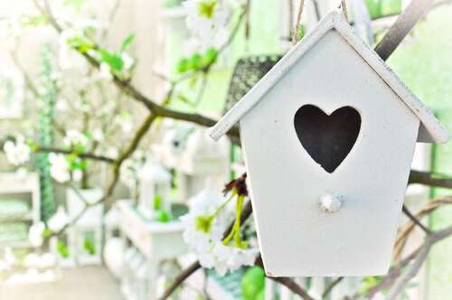 Foto - Wohnung zum Kaufen in Hagenbach 199.000,00 € 66 m²