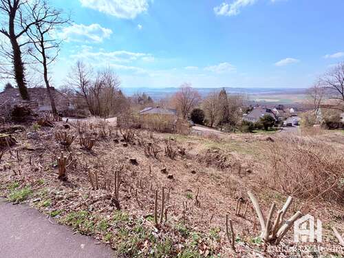 Foto - Grundstück zu verkaufen in Niedenstein 215.000,00 € 1432 m²