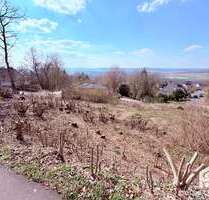 Grundstück zu verkaufen in Niedenstein 215.000,00 € 1432 m²