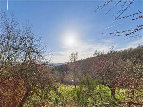 Foto - Haus zum Kaufen in Johannesberg 1.280.000,00 € 306 m²