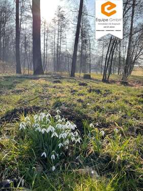 Foto - Grundstück in Klipphausen 346.499,70 € 126905 m²