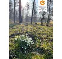 Grundstück in Klipphausen 346.499,70 € 126905 m²