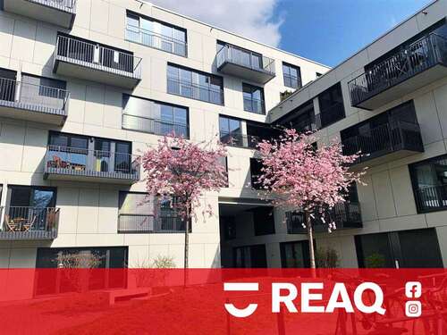 Foto - Wohnung zum Mieten in Aachen-Mitte 820,26 € 58.59 m²