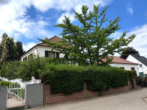 Foto - Haus zum Kaufen in Worms Herrnsheim 798.000,00 € 160 m²