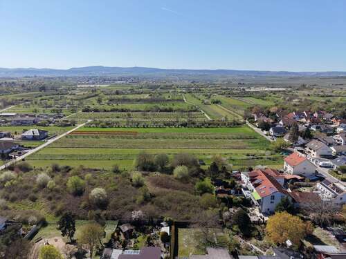 Foto - Grundstück zu verkaufen in Weisenheim am Sand 147.000,00 € 601 m²