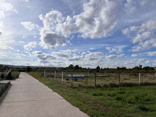 Foto - Grundstück zu verkaufen in Weisenheim am Sand 147.000,00 € 601 m²