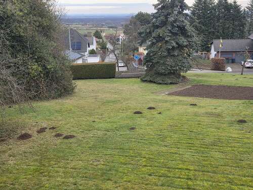 Foto - Grundstück zu verkaufen in Nideggen 150.000,00 € 734 m²