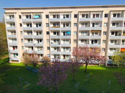 Foto - Wohnung zum Mieten in Chemnitz 297,00 € 54.22 m²