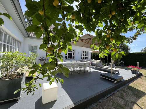 Foto - Haus zum Kaufen in Meerbusch Büderich 1.950.000,00 € 264.15 m²