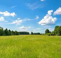 Grundstück zu verkaufen in Lychen Rutenberg 189.000,00 € 9126 m² - Lychen / Rutenberg